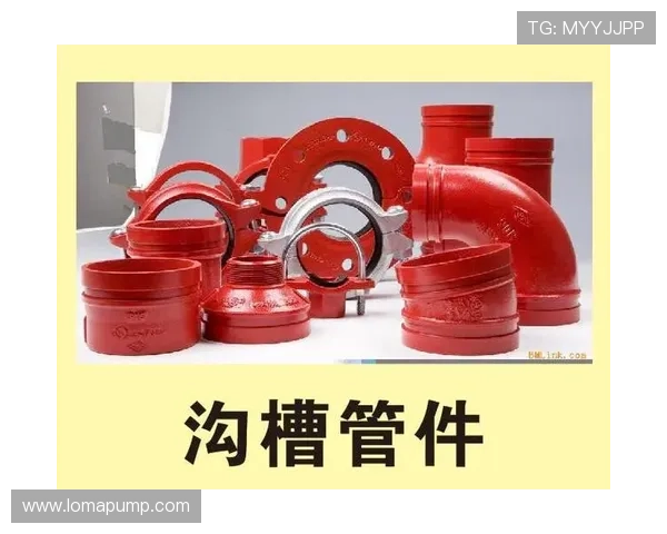 K8凯发网址登录线路的常见问题及应对策略，提升登录成功率