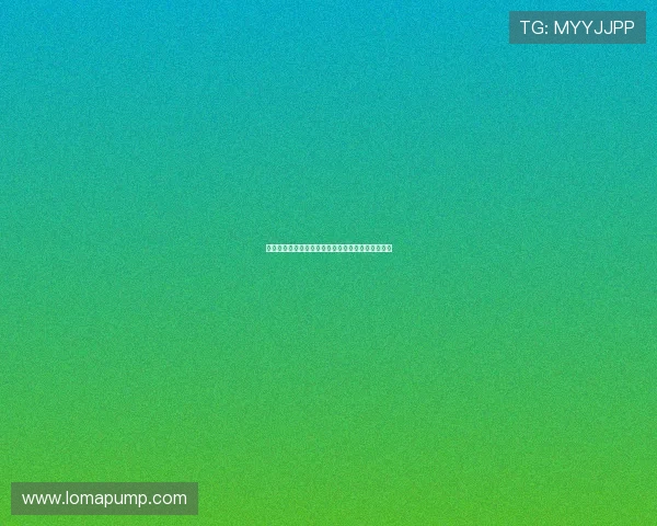 摩洛哥与海地足球对战历史纪录及未来比赛预测分析 摩洛哥与海地足球对战历史纪录及未来比赛预测分析
