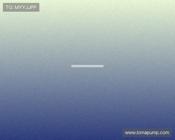 摩洛哥对阵海地的世界杯比赛精彩瞬间及战术解析 摩洛哥对阵海地的世界杯比赛精彩瞬间及战术解析